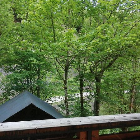 Chalet Au Pont De Flon Le Cornix Ngoại thất bức ảnh